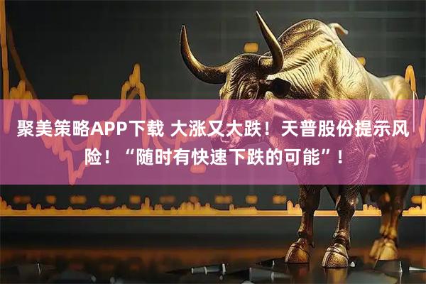 聚美策略APP下载 大涨又大跌！天普股份提示风险！“随时有快速下跌的可能”！